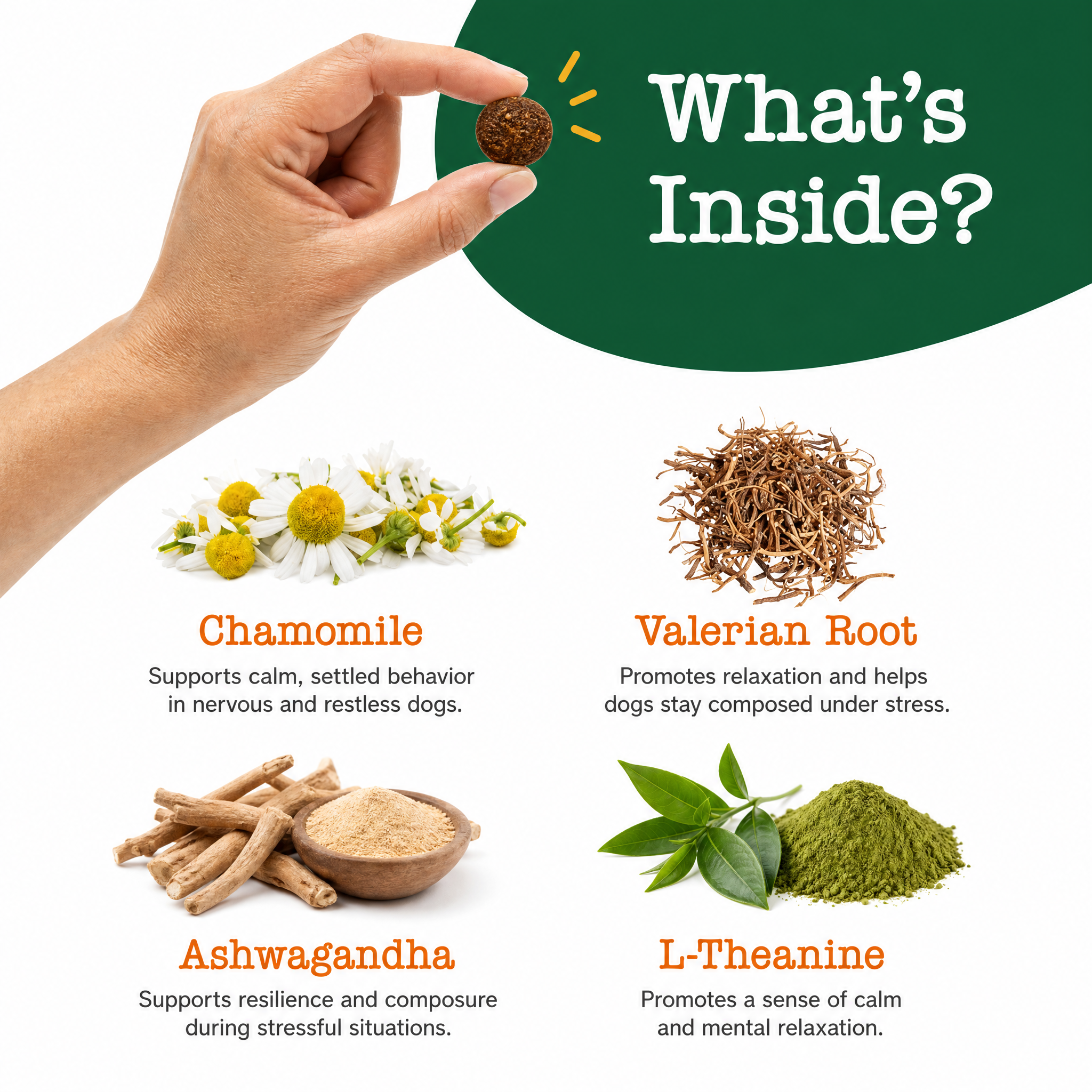 Calming Chews for Dogs