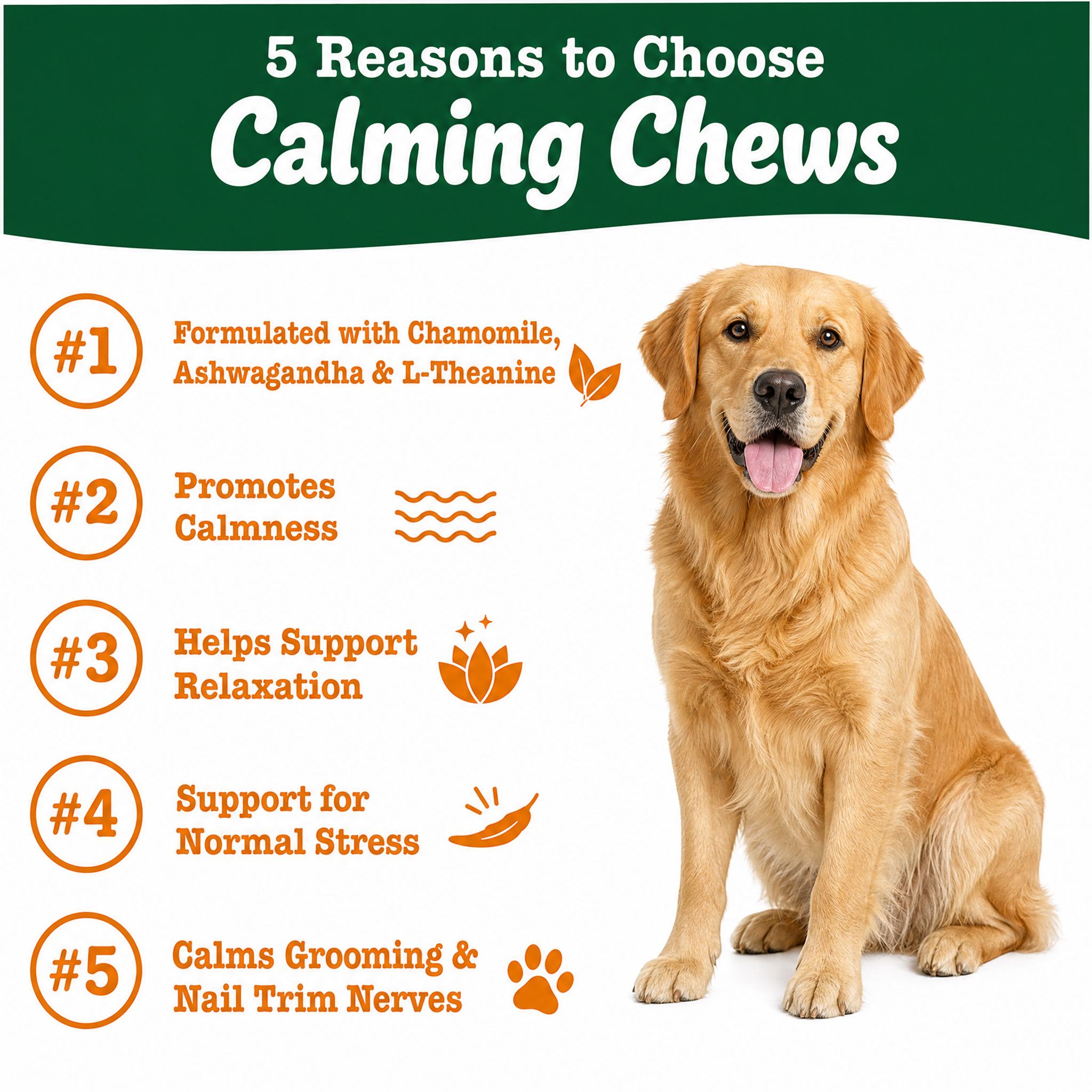 Calming Chews for Dogs